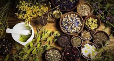 Tinh dầu organic là gì?