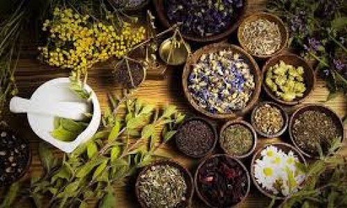 Tinh dầu organic là gì?